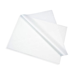 PAPEL DE SEDA COLOR BLANCO PQT 10